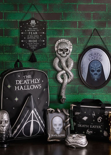 Harry Potter Warner Bros Dark Arts Black Frame Nagini