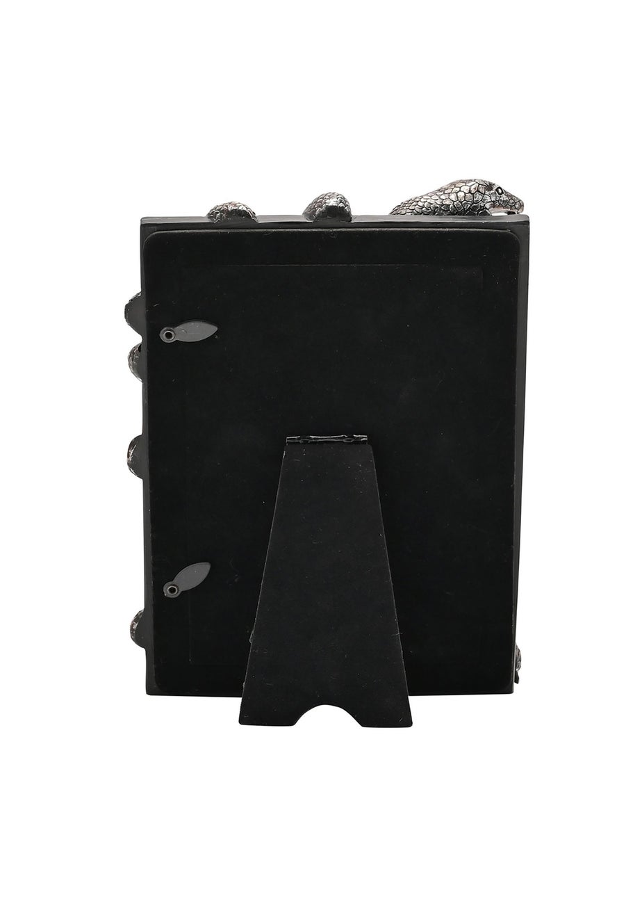 Harry Potter Warner Bros Dark Arts Black Frame Nagini