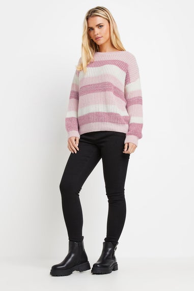 M&Co Petite Pink Striped Space Dye Jumper