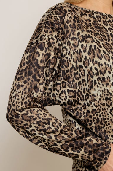 Long Tall Sally Brown Animal Print Batwing Top