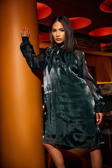 PixieGirl Petite Dark Green Organza Tie Neck Dress