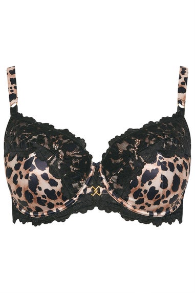 Yours Curve Black Leopard Print Lace Padded Bra