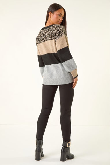 Roman Stone Petite Animal Block V-Neck Jumper