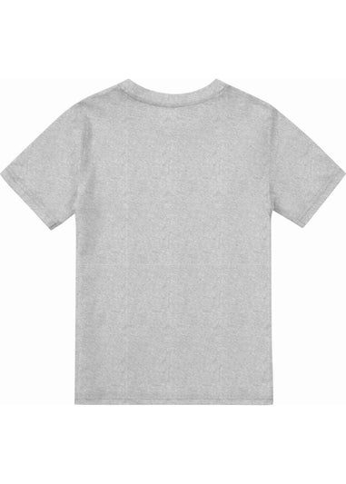 Toy Story Boys Grey Group T-Shirt (3-13yrs)