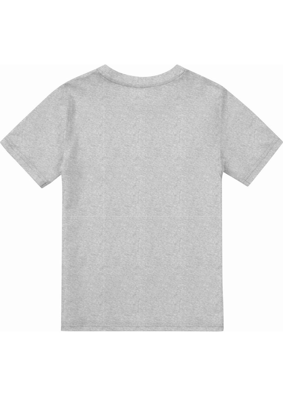 Toy Story Boys Grey Group T-Shirt (3-13yrs)