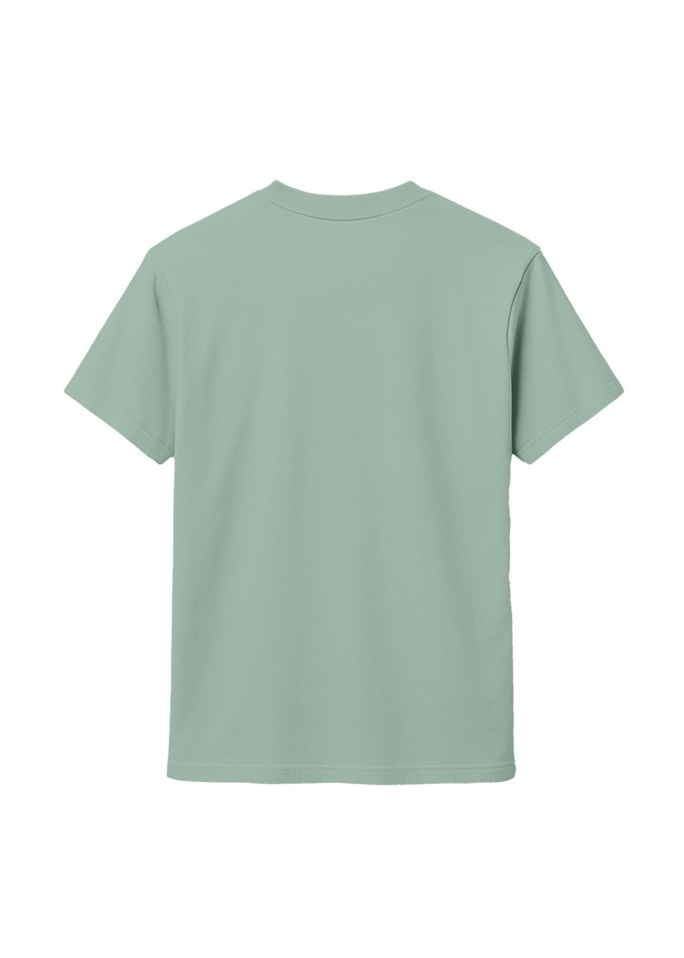 Validate Aloe Green OG Premium T-Shirt