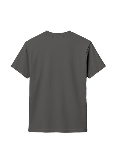 Validate Charcoal OG Premium T-Shirt