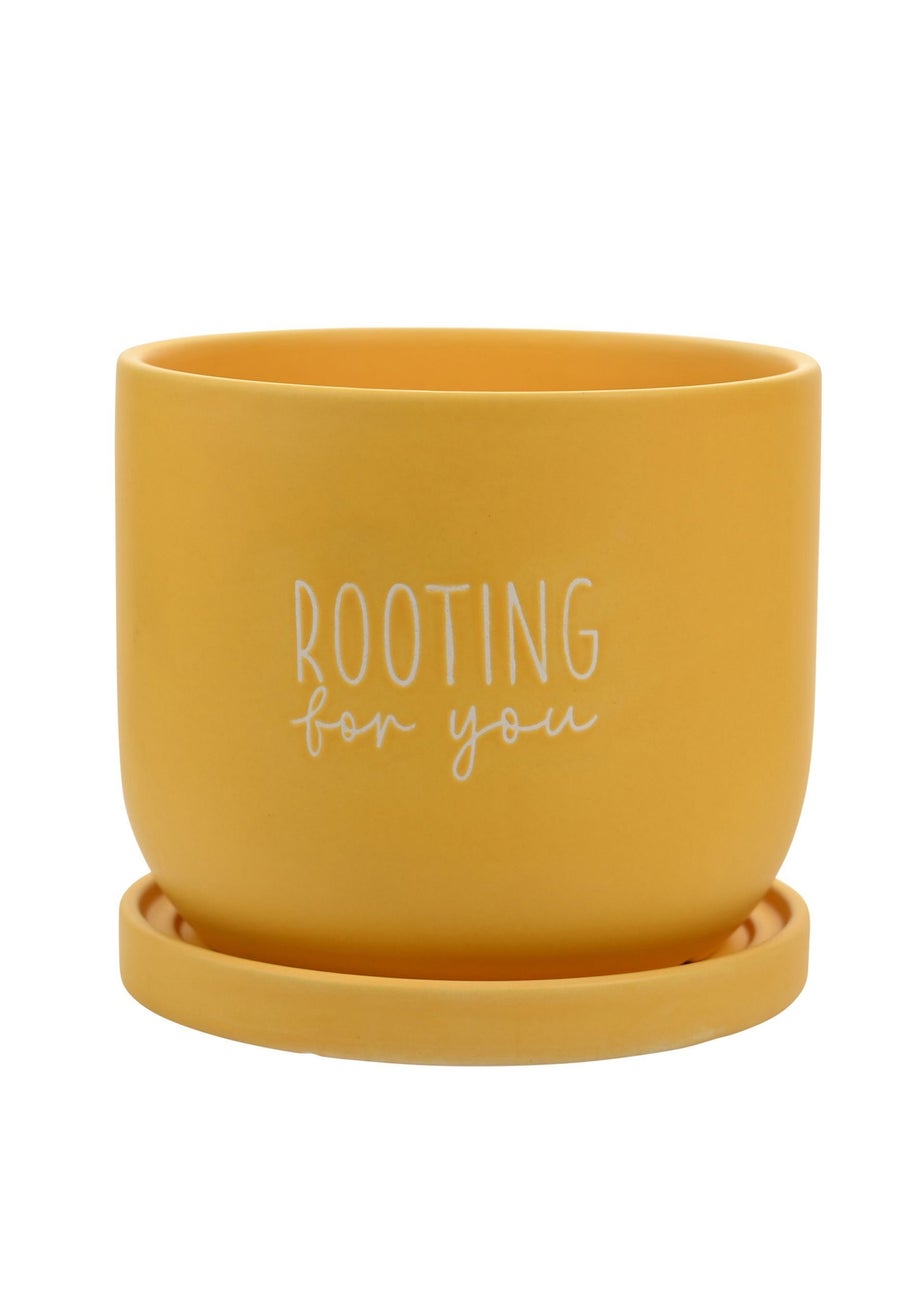 Country Living Yellow Ceramic Plant Pot Rooting For You
