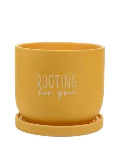 Country Living Yellow Ceramic Plant Pot Rooting For You