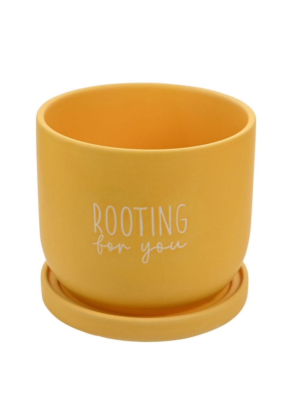 Country Living Yellow Ceramic Plant Pot Rooting For You