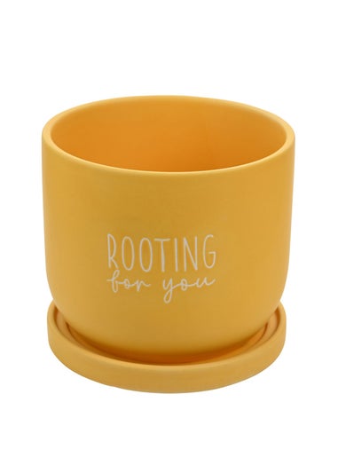 Country Living Yellow Ceramic Plant Pot Rooting For You