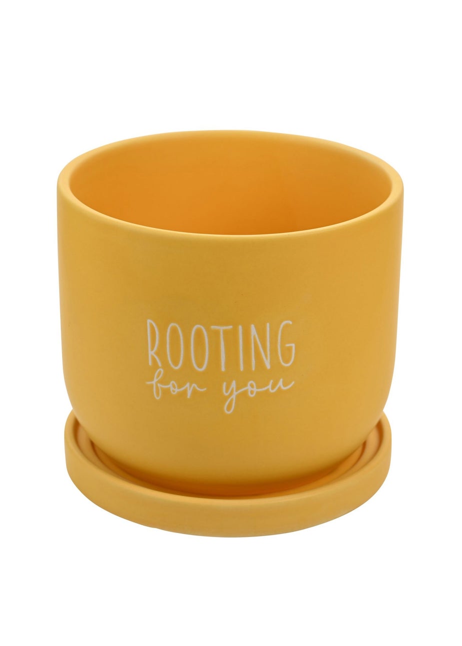 Country Living Yellow Ceramic Plant Pot Rooting For You