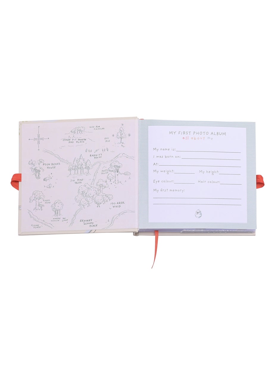 Disney Winnie The Pooh Photo Album