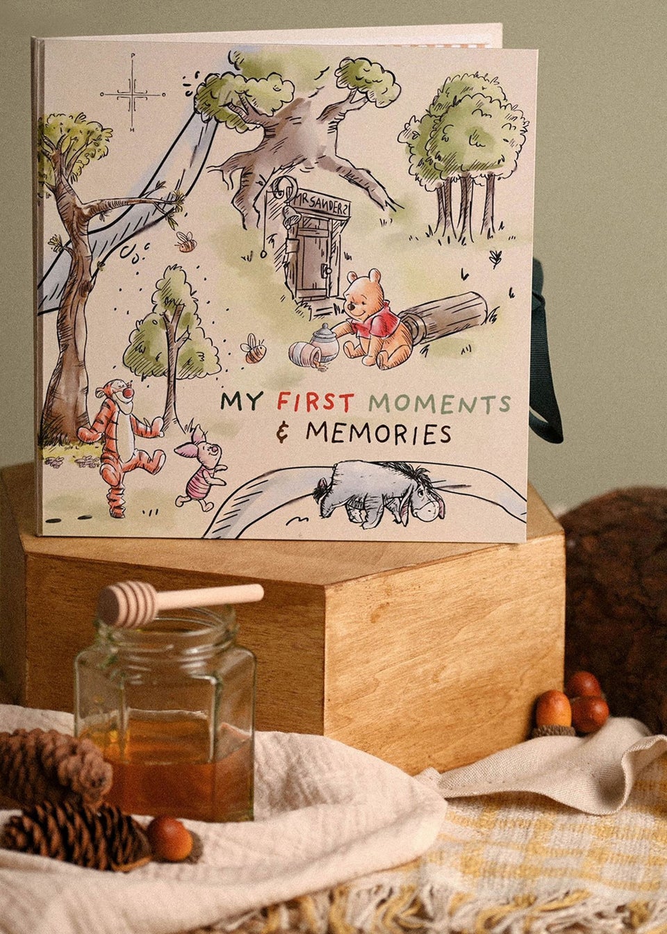 Disney Winnie The Pooh First Year Record Book