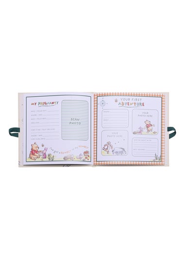 Disney Winnie The Pooh First Year Record Book