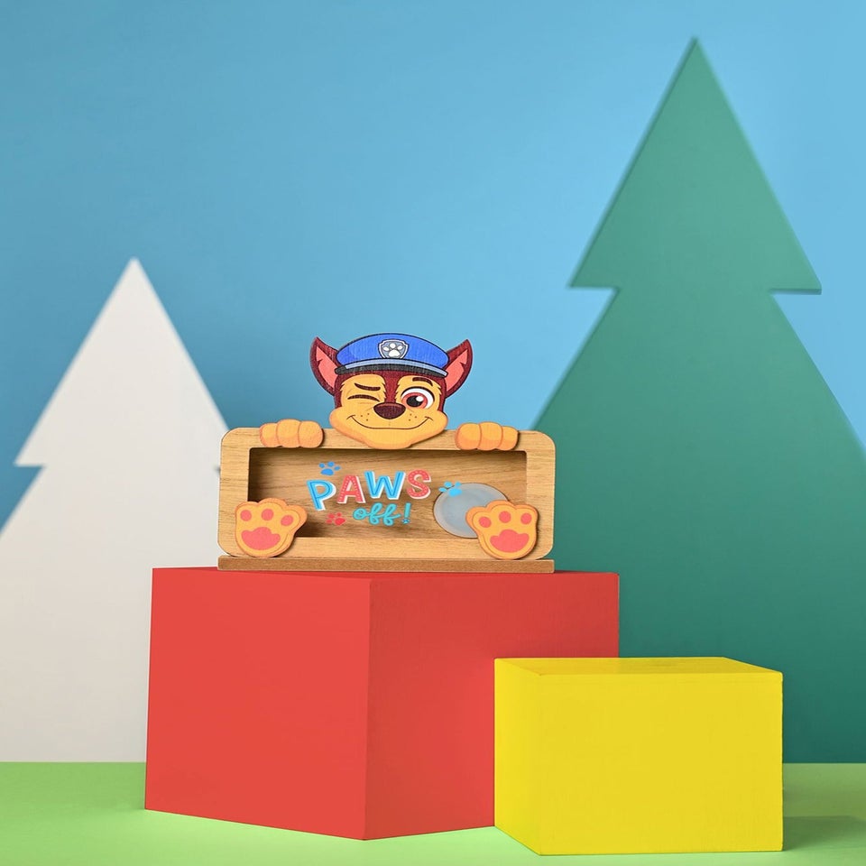 Paw Patrol Brown Chase Money Box