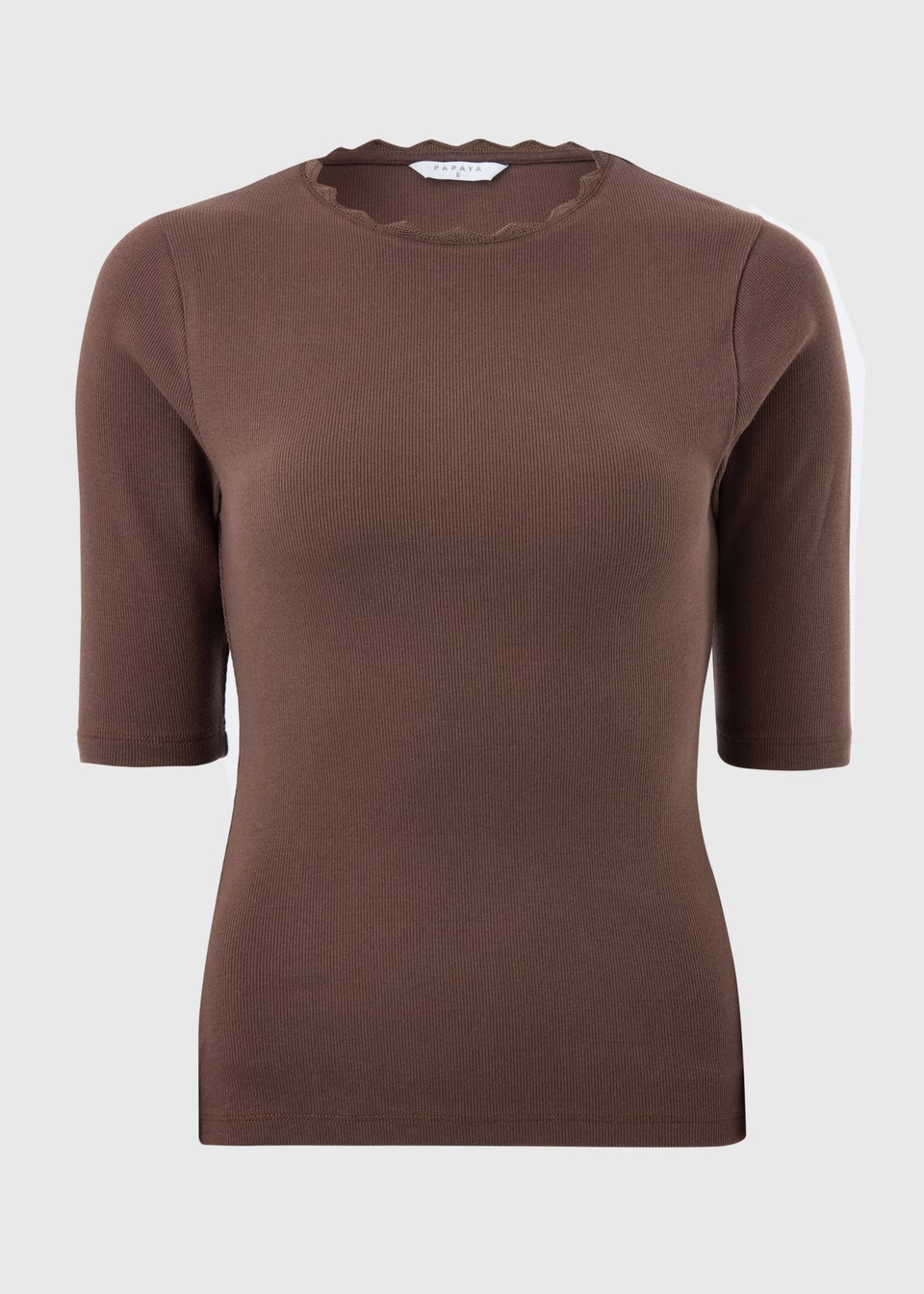 Chocolate Brown Neck Trim Fitted T-Shirt
