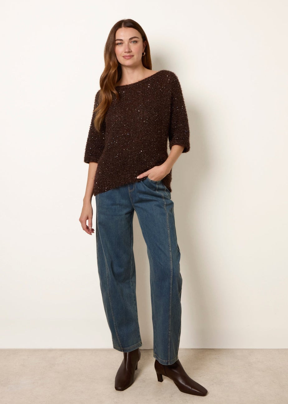 Blue Vanilla Brown Sequin Feather Jumper