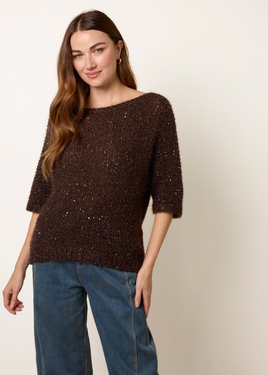 Blue Vanilla Brown Sequin Feather Jumper