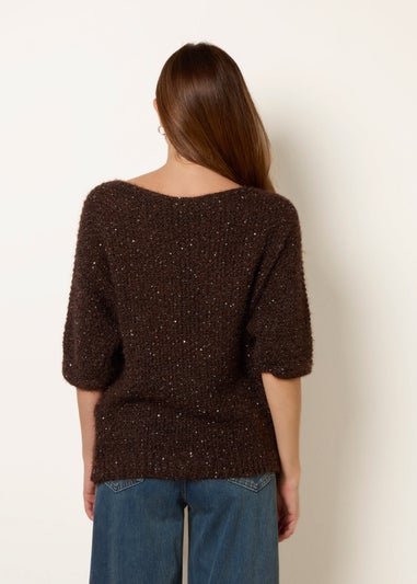 Blue Vanilla Brown Sequin Feather Jumper