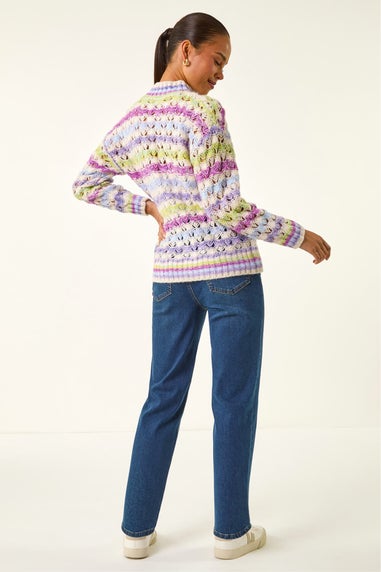 Roman Purple Petite Stripe Knit Jumper