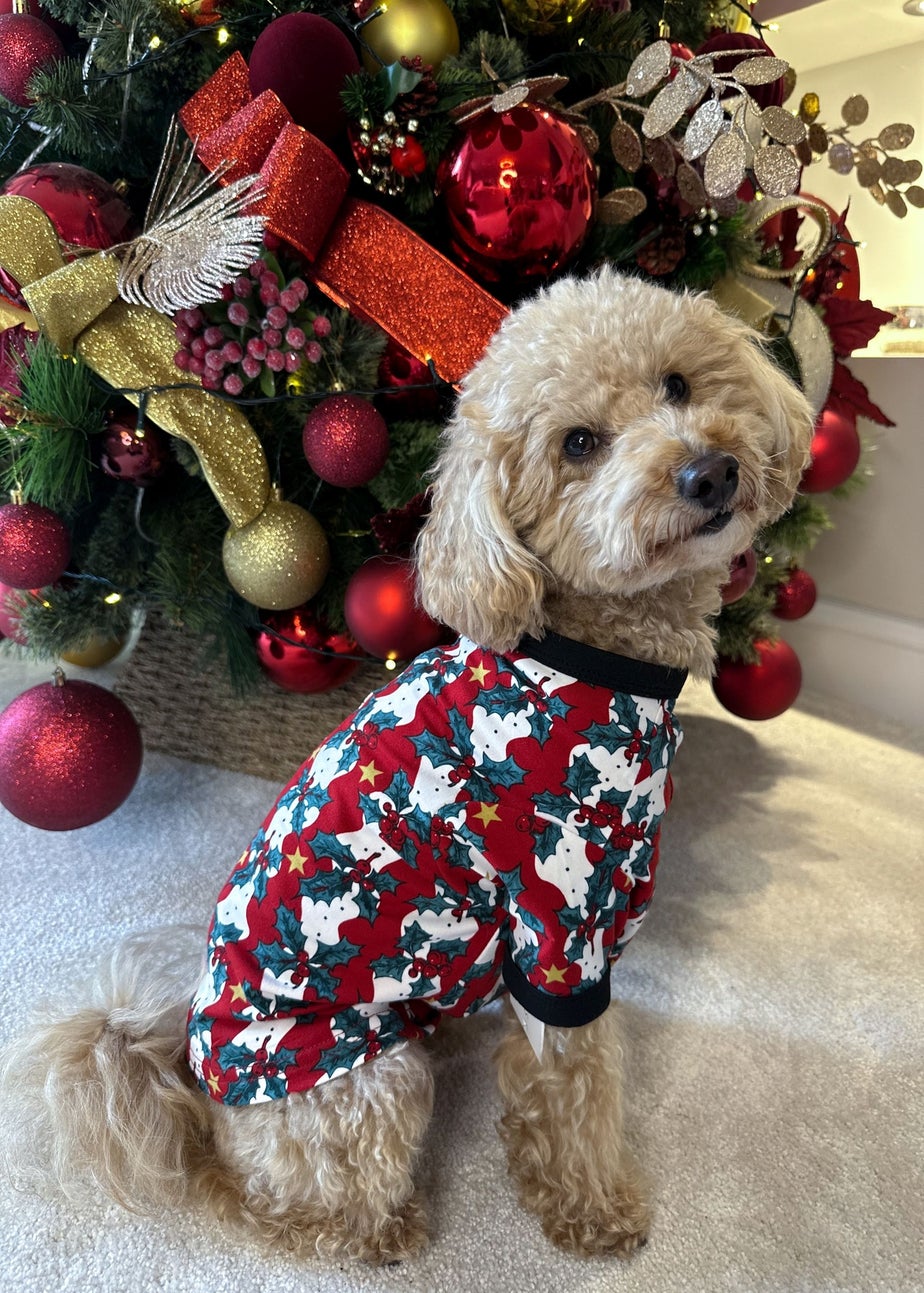 My Christmas Pyjamas Red Mistletoe & Wine Pet One-Piece Matching Pyjamas