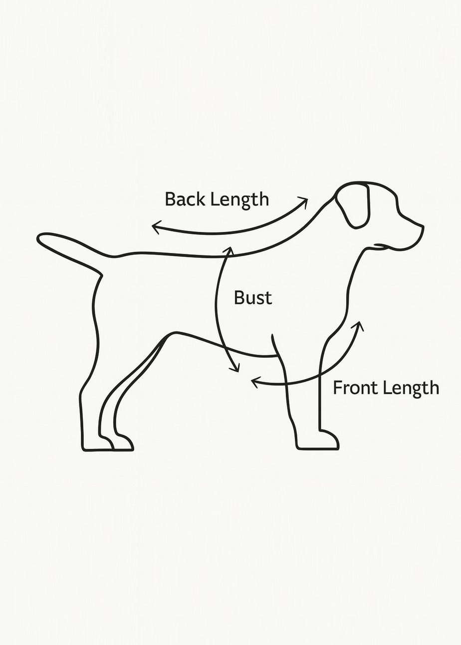 My Christmas Pyjamas Sapphire Blue Midnight Jewel Pet One-Piece Matching Pyjamas