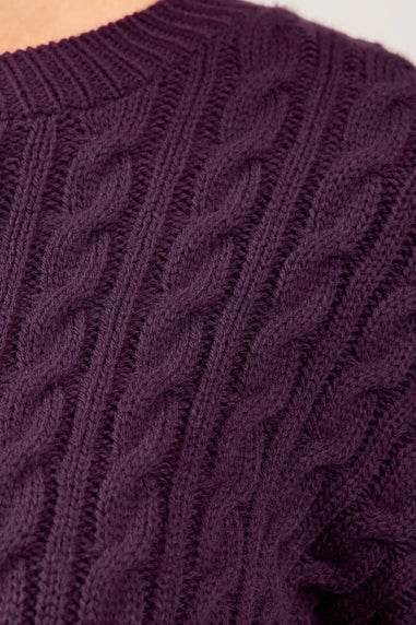 M&Co Petite Berry Purple Cable Knit Jumper