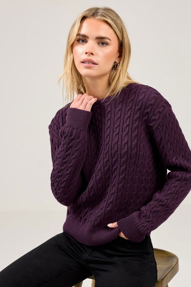 M&Co Petite Berry Purple Cable Knit Jumper