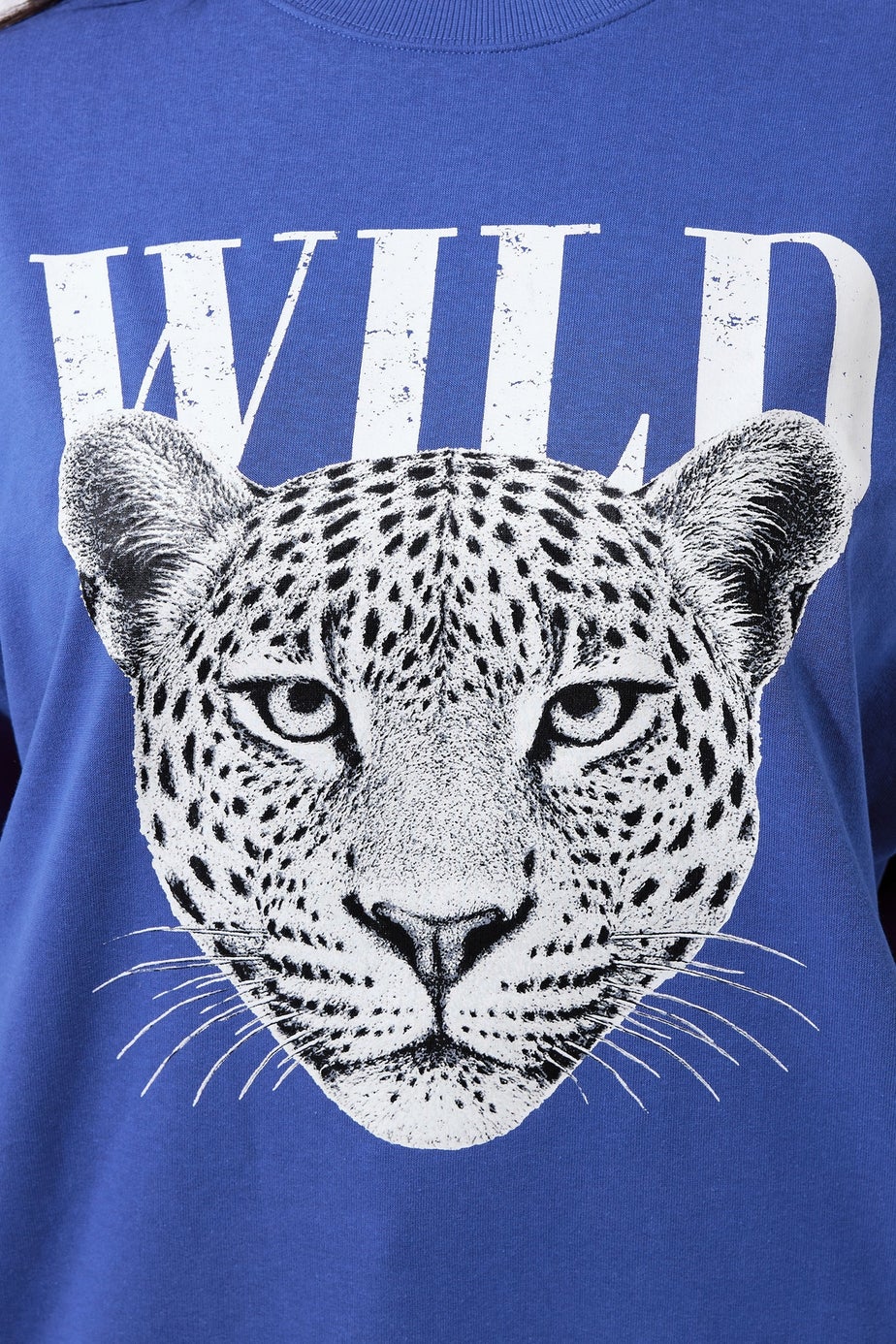 Yours Limited Curve Blue 'Wild' Leopard Graphic Sweatshirt