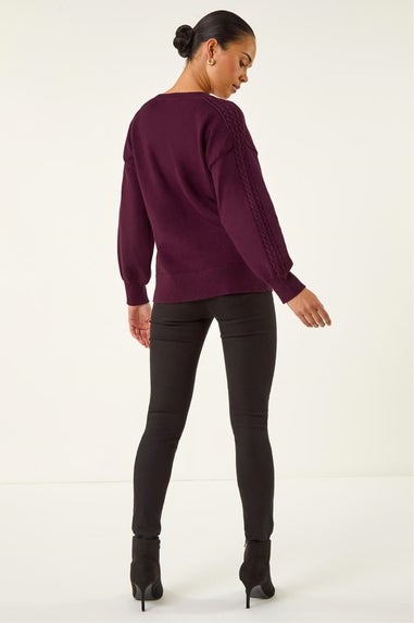 Roman Plum Petite Contrast Sleeve Knit Jumper