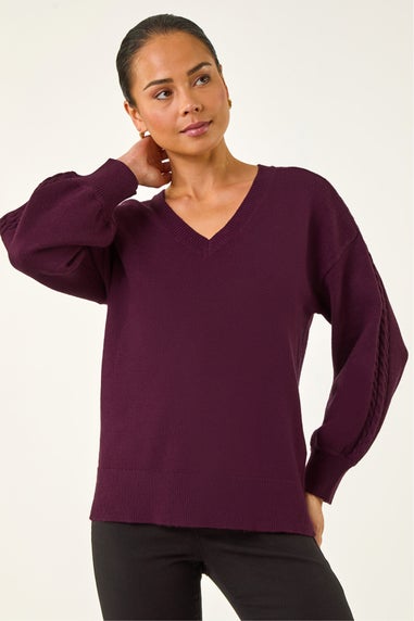 Roman Plum Petite Contrast Sleeve Knit Jumper