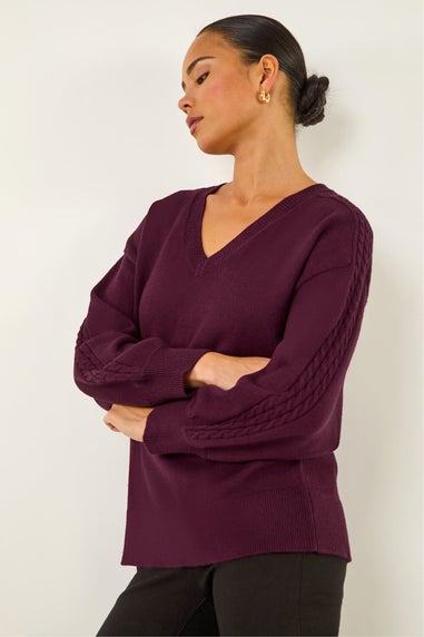 Roman Plum Petite Contrast Sleeve Knit Jumper