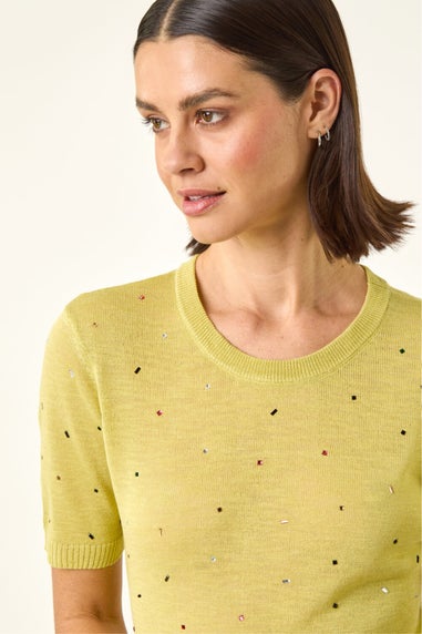 Roman Lime Scattered Hotfix Knitted Top
