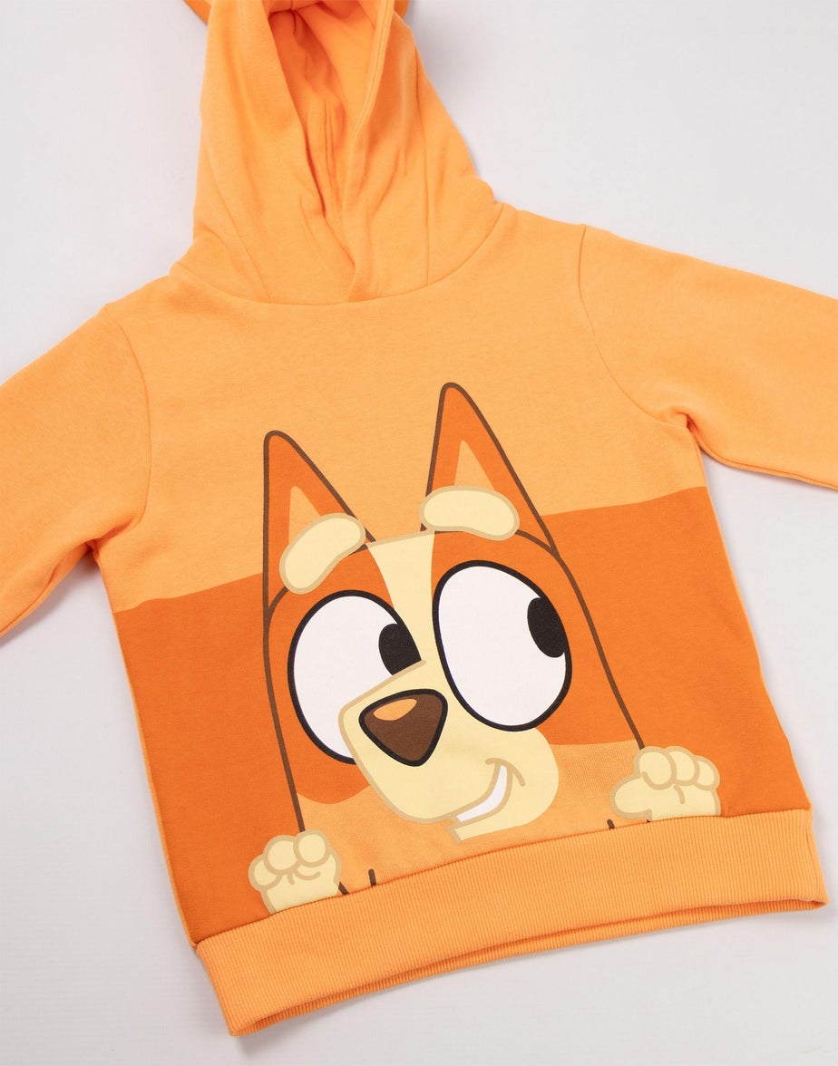 Vanilla Underground Bluey Unisex Kids Brown Bingo Hoodie (18 mnths - 7 years)