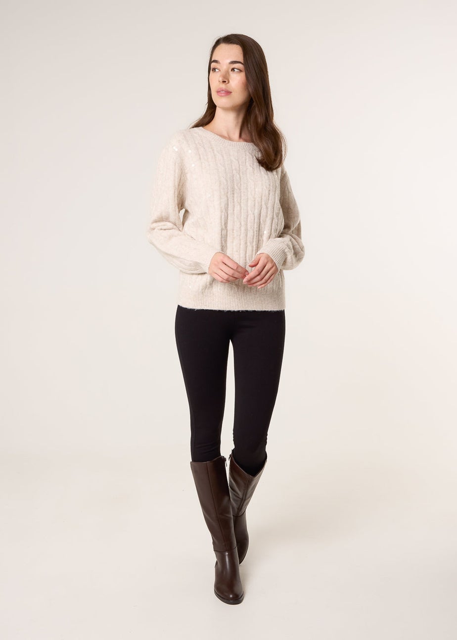 Blue Vanilla Beige Round Neck Jumper With Sequin