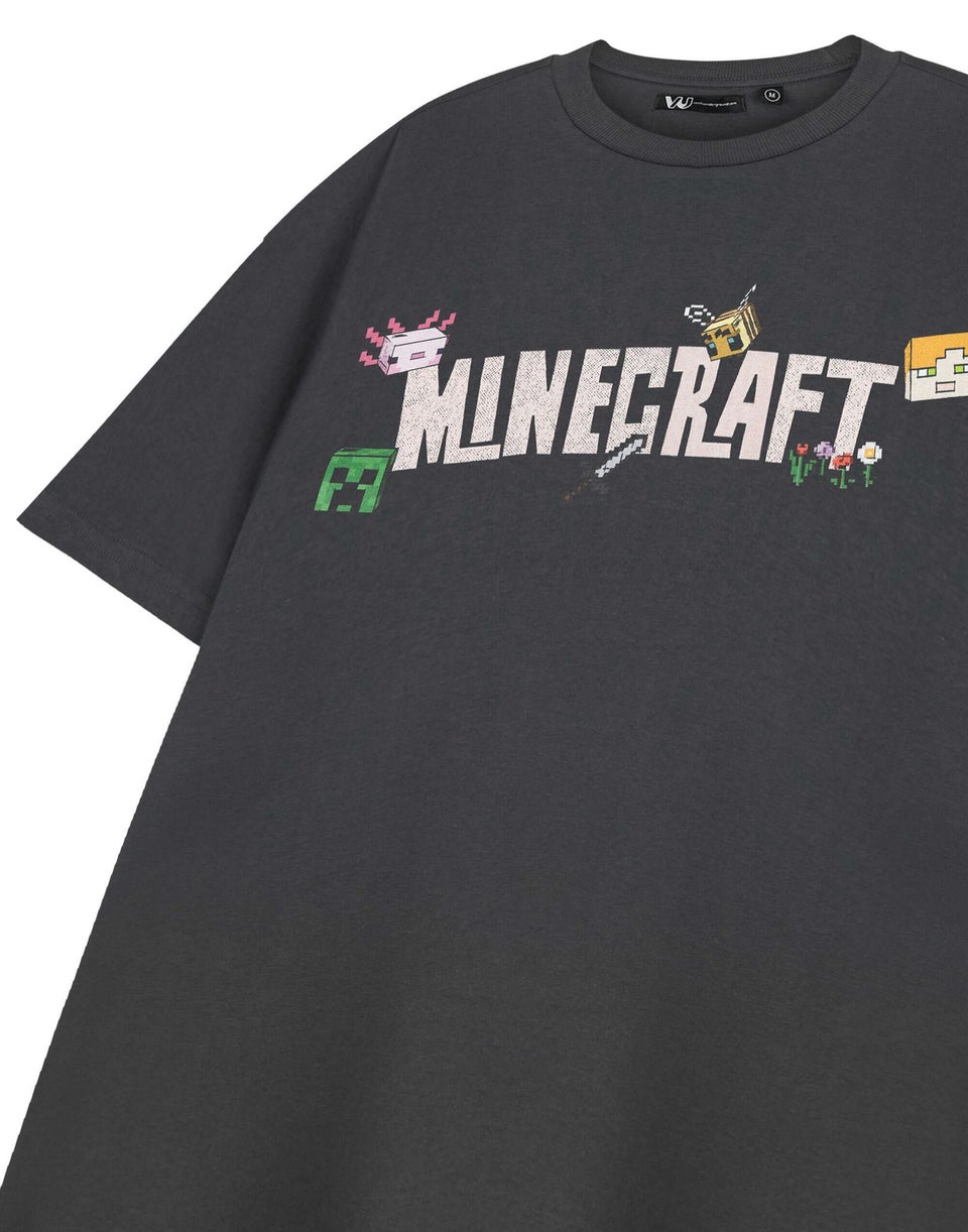 Vanilla Underground Minecraft Adults Logo Grey T-Shirt