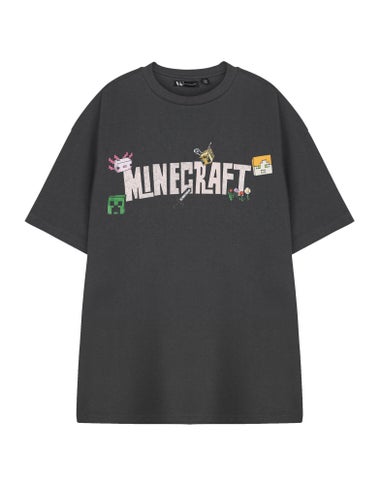 Vanilla Underground Minecraft Adults Logo Grey T-Shirt