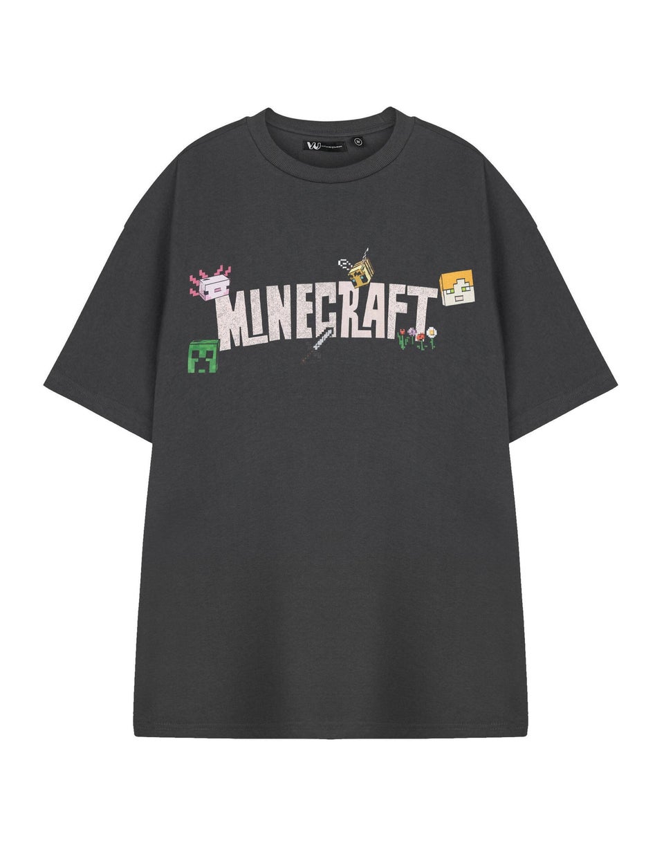 Vanilla Underground Minecraft Adults Logo Grey T-Shirt