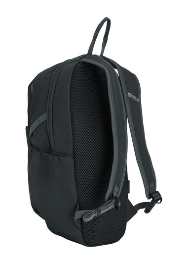 Regatta Ash Prism 15L Bag