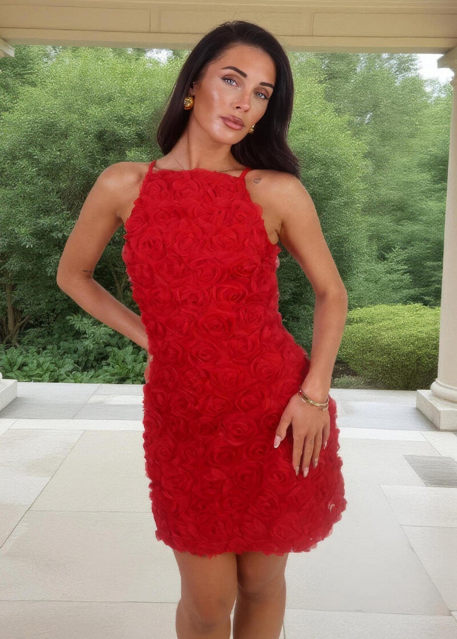 AX Paris Red Rose-Applique Racer Neck Slip Mini Dress