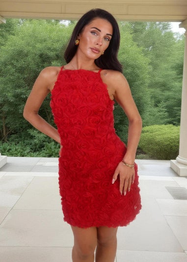 AX Paris Red Rose-Applique Racer Neck Slip Mini Dress