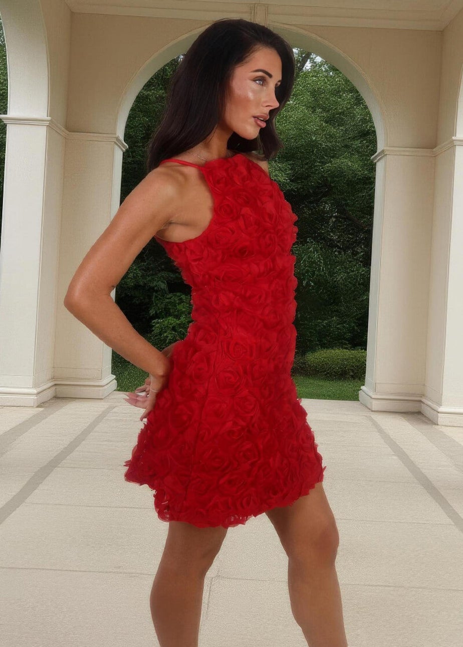 AX Paris Red Rose-Applique Racer Neck Slip Mini Dress