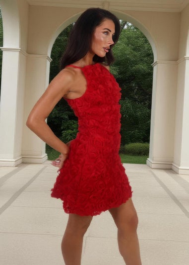 AX Paris Red Rose-Applique Racer Neck Slip Mini Dress