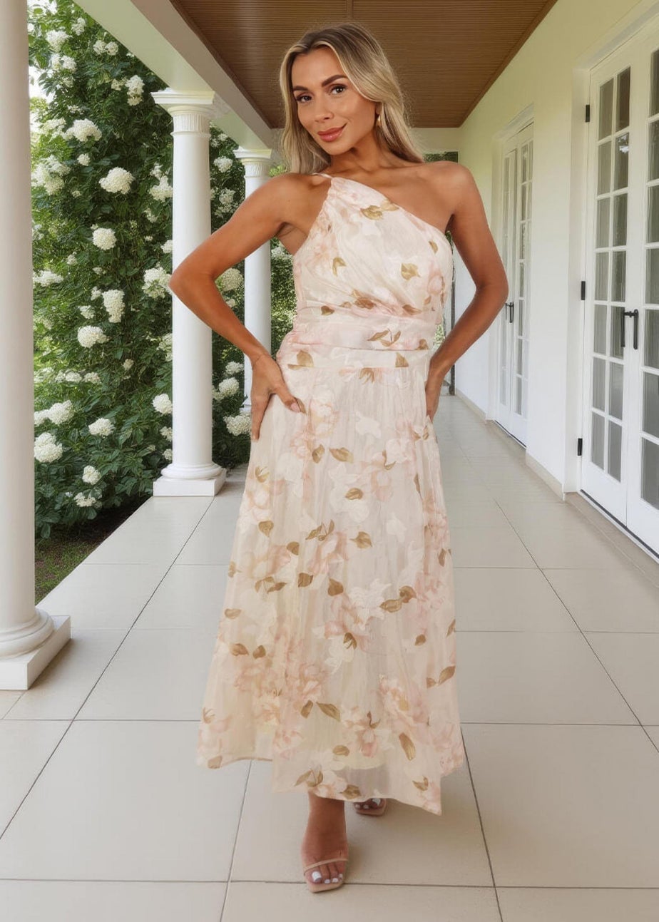 AX Paris Blush Floral Embroidered Chiffon One Shoulder Midi Dress