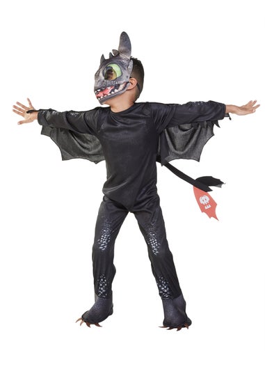 How To Train Your Dragon Toothless Costume (3-8 Years)