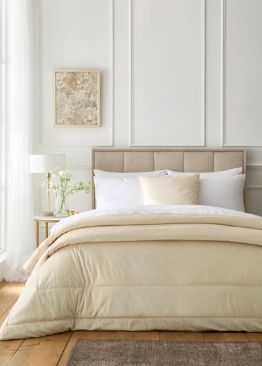 Appletree Harlan Velvet Cream Filled Cushion