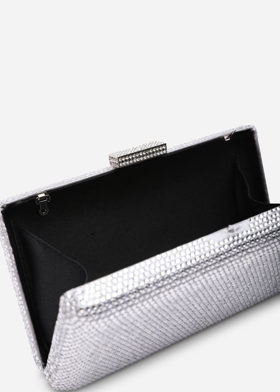 Where's That From Veil Silver Embellished Hard-Case Evening Clutch Bag