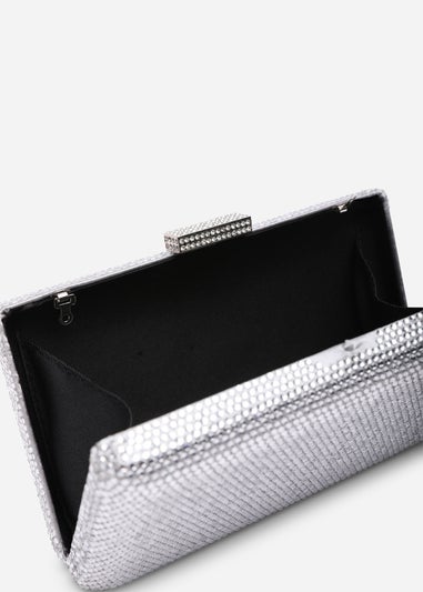 Where's That From Veil Silver Embellished Hard-Case Evening Clutch Bag