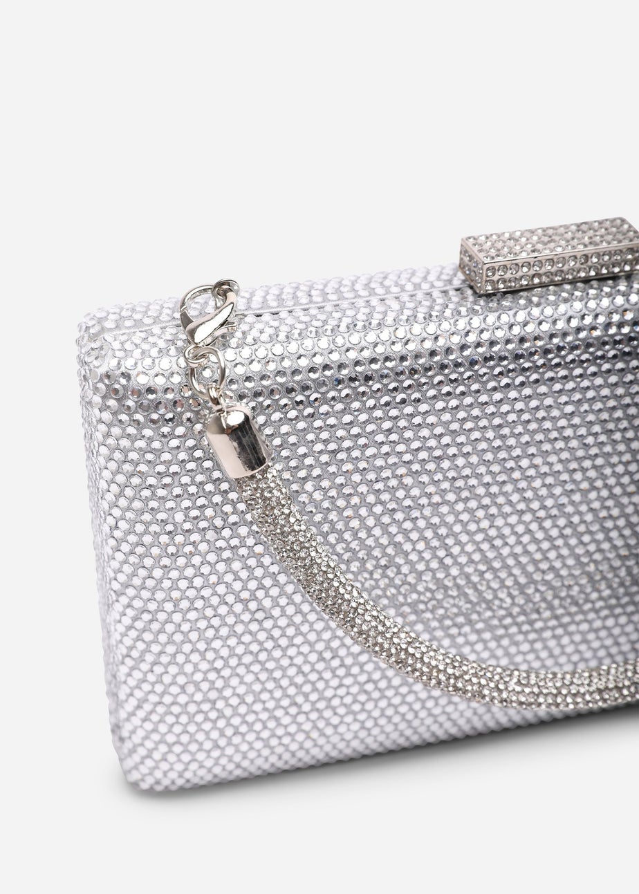 Where's That From Veil Silver Embellished Hard-Case Evening Clutch Bag